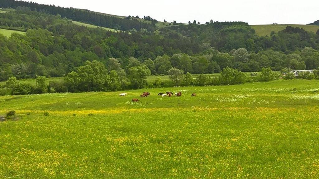 Komandorowka
